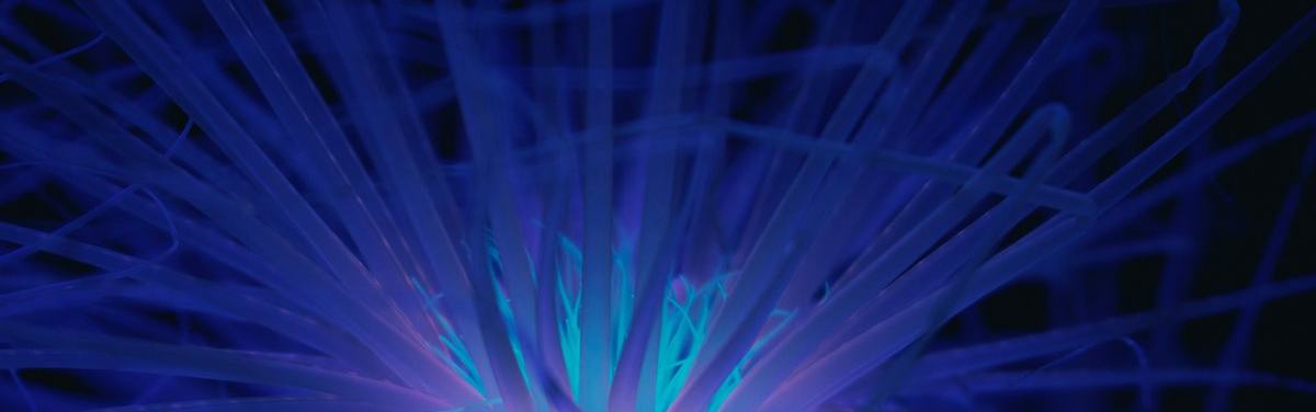 data-and-ai — page_hero background_image — pexels:bioluminescent synaptic network deep ocean dark ab