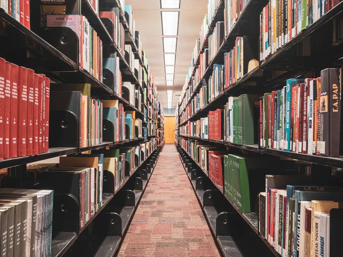 data-strategy-and-roadmap — page_hero background_image — pexels:library shelves books knowledge organised referenc